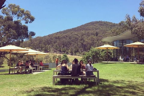 CHEVY CONVERTIBLE Package For 2 People- Wine Lunch Cheese & Chocolate From Melb. - Tourism TAS 6