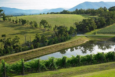 CHEVY CONVERTIBLE Package For 2 People- Wine Lunch Cheese & Chocolate From Melb. - Tourism TAS 9