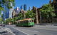Best Of Melbourne Private Tour With Photos - thumb 1