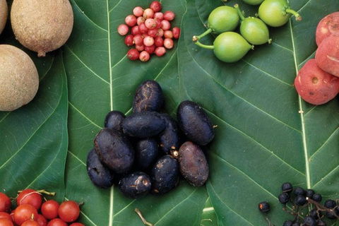 AUSTRALIAN NATIVE FOOD TOUR From Melbourne - Tourism TAS 0