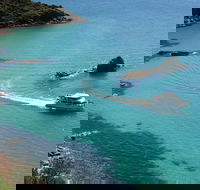 Cape Woolamai Sightseeing Cruise from San Remo - Tourism TAS