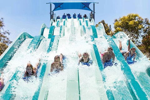 Adventure Park Geelong: General Admission Ticket - Tourism TAS 1