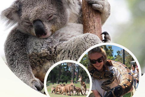 Ballarat Wildlife Park - Hobart Tourism 0