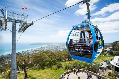 Around The Bay Sightseeing And Bay Cruise - Tourism TAS 8
