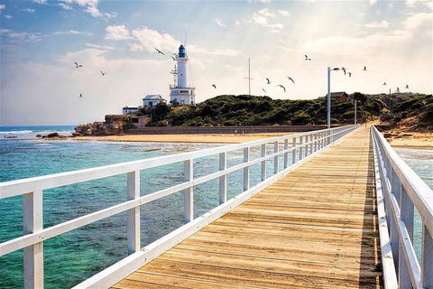 Around The Bay Sightseeing And Bay Cruise - Tourism TAS 9