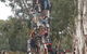 Bendigo, Echuca & The Mighty Murray - thumb 6