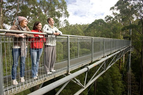 Adventure Sunset Three Day Great Ocean Road Tour - Tourism TAS 14