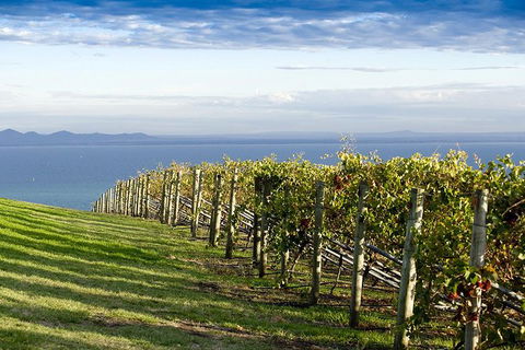 Around The Bay Food And Wine Taste Trail - Tourism TAS 5