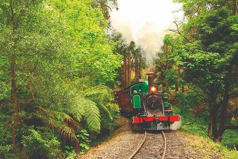 Half Day Puffing Billy Train Journey From Melbourne - Tourism TAS 2