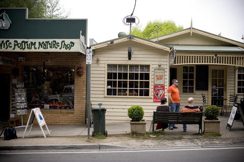 Half Day Puffing Billy Train Journey From Melbourne - Tourism TAS 10
