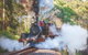 Half Day Puffing Billy Train Journey From Melbourne - thumb 4
