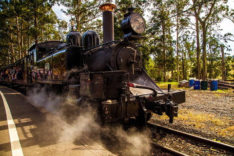 Half Day Puffing Billy Train Journey From Melbourne - Tourism TAS 6