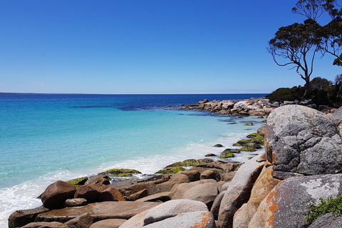 Tasmania 6 Day \'Tour In Circle\' - Hobart Tourism 4
