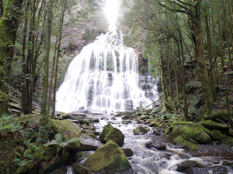 5-Day Best Of Tasmania Tour From Hobart - Hobart Tourism 2