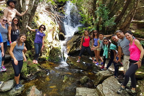 5-Day Best Of Tasmania Tour From Hobart - Hobart Tourism 9