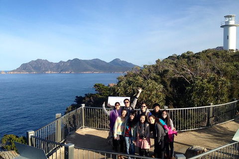 Wineglass Bay And Freycinet National Park Active Day Trip From Hobart - Hobart Tourism 1
