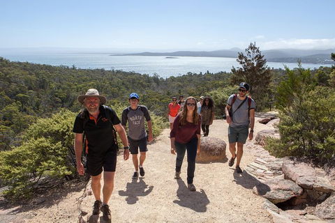 Wineglass Bay And Freycinet National Park Active Day Trip From Hobart - Hobart Tourism 26