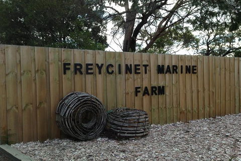 Wineglass Bay And Freycinet National Park Active Day Trip From Hobart - Hobart Tourism 20