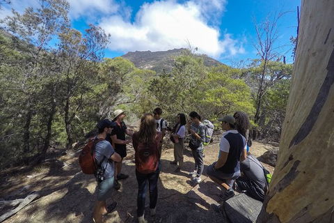 Wineglass Bay And Freycinet National Park Active Day Trip From Hobart - Hobart Tourism 9