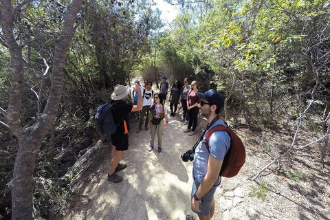 Wineglass Bay And Freycinet National Park Active Day Trip From Hobart - Hobart Tourism 19