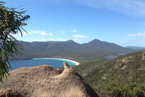 Wineglass Bay And Freycinet National Park Active Day Trip From Hobart - Hobart Tourism 33