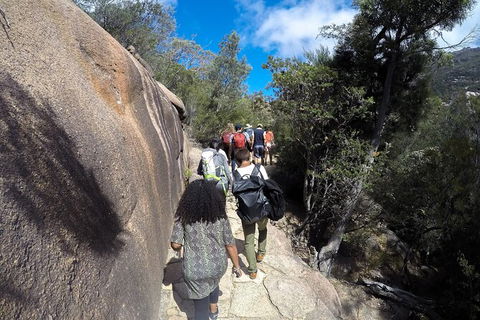 Wineglass Bay And Freycinet National Park Active Day Trip From Hobart - Hobart Tourism 21