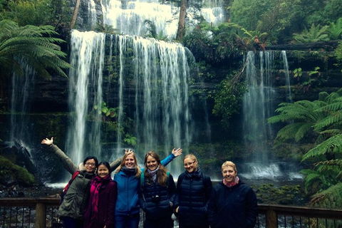 Mt Field National Park Active Day-Trip Including Bonorong And Mt Wellington - Hobart Tourism 1