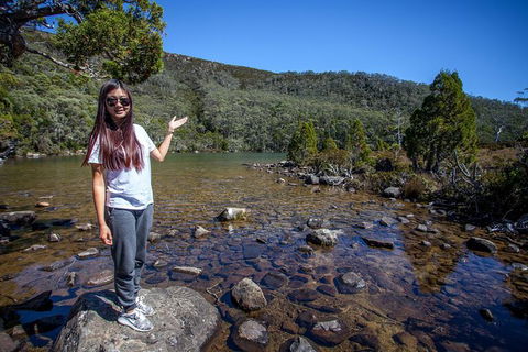 Mt Field National Park Active Day-Trip Including Bonorong And Mt Wellington - Hobart Tourism 12