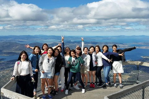 Mt Field National Park Active Day-Trip Including Bonorong And Mt Wellington - Hobart Tourism 3