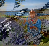 Port Arthur and Lavender Farm Active Day Tour - Hobart Tourism