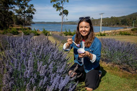 Port Arthur And Lavender Farm Active Day Tour - Hobart Tourism 0