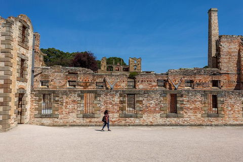 Port Arthur And Lavender Farm Active Day Tour - Hobart Tourism 1