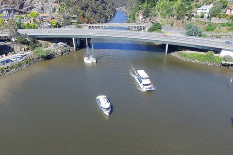 Cataract Gorge Cruise 10:30 Am - Hobart Tourism 5