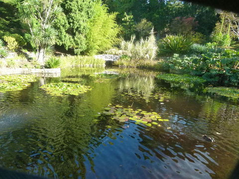 Hobart Half-Day Sightseeing Coach Tram Tour - Hobart Tourism 14