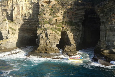 Full-Day Tasman Peninsula Tour From Hobart - Hobart Tourism 18
