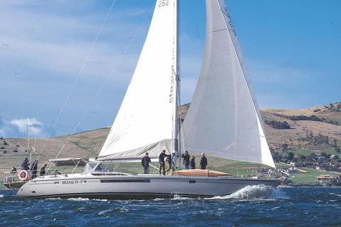 Half-Day Sailing On The Derwent River From Hobart - Tourism TAS 5