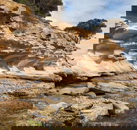 Maria Island premium private photo-oriented day tour from Hobart - Hobart Tourism