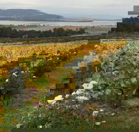 Mona and Wine Experience Tour - Hobart Tourism