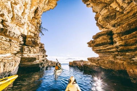 Hobart Kayak Tour - Tourism TAS 0
