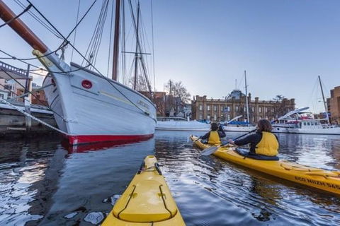 Hobart Kayak Tour - Tourism TAS 1