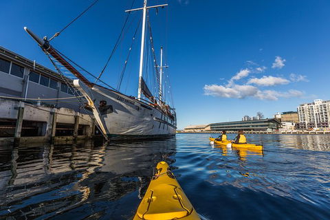 Hobart Kayak Tour - Tourism TAS 8