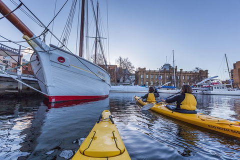 Hobart Kayak Tour - Tourism TAS 5