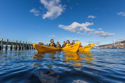 Hobart Kayak Tour - Tourism TAS 7