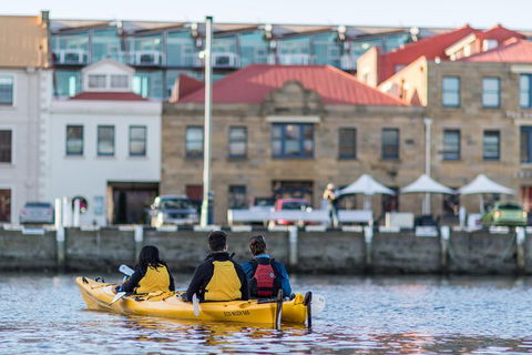 Hobart Kayak Tour - Tourism TAS 6