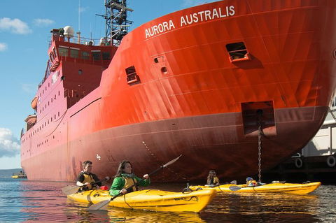 Hobart Kayak Tour - Tourism TAS 3