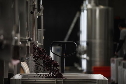Private 90-minute Moorilla Estate Winery Tour With Tastings And Free Wine Gift - Hobart Tourism 1