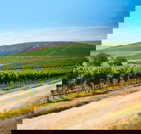 Full Day Tamar Valley Wine Tour - Hobart Tourism