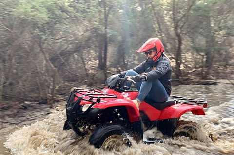 Half-Day Guided ATV Exploration Tour From Coles Bay - Hobart Tourism 7