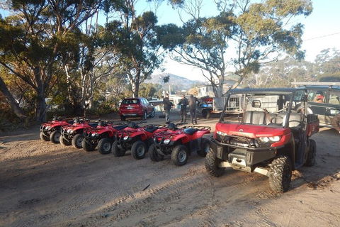 Half-Day Guided ATV Exploration Tour From Coles Bay - Hobart Tourism 4