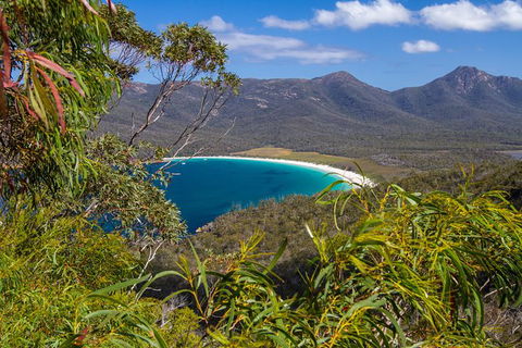 4x4 And Lunch Full Day Freycinet And Wineglass Bay - Hobart Tourism 1